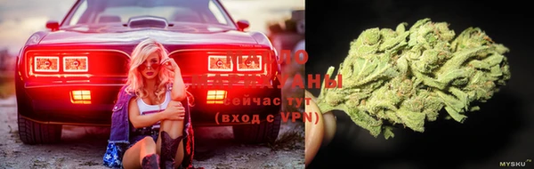 спайс Баксан