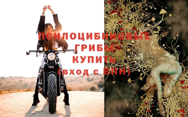спайс Баксан