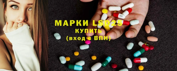 спайс Баксан